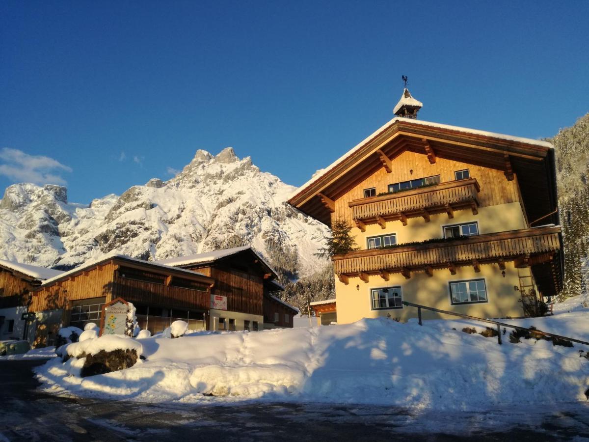 Bio Bauernhof Vorderoberlehen Hotel Werfenweng Exterior photo